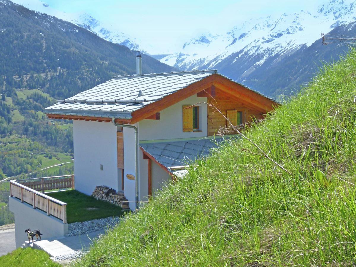Mountain-View Chalet In Heremence With Terrace Exteriér fotografie